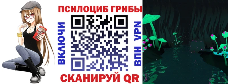 blacksprut tor  Заполярный  Галлюциногенные грибы Cubensis  где найти  